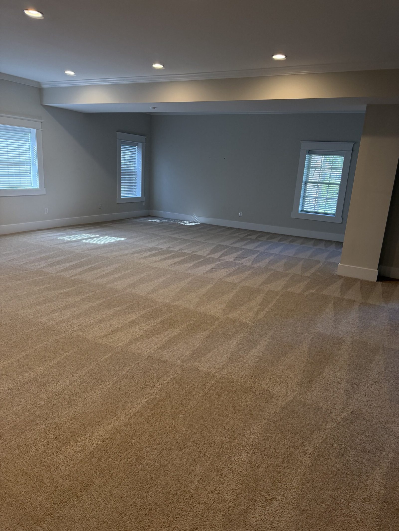 Freshly vacuumed bedroom with clean carpet lines